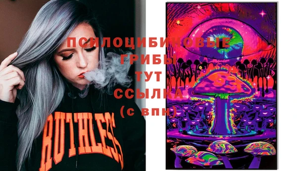 дмт Арсеньев