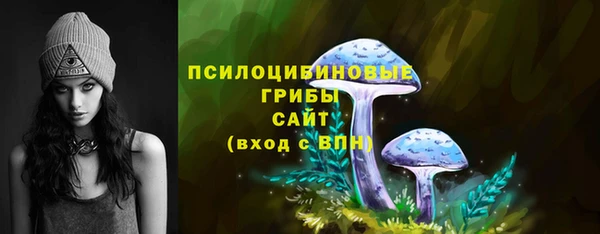 стаф Армянск