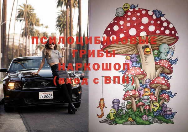 тгк Алзамай