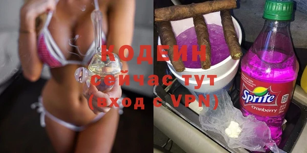 дмт Арсеньев