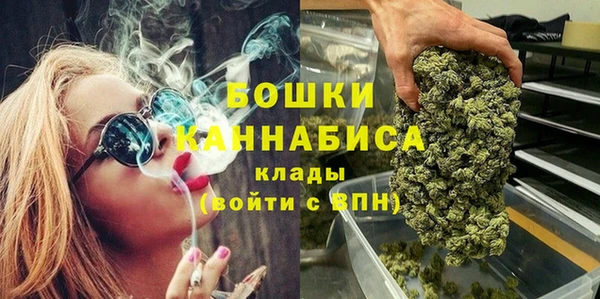 дмт Арсеньев