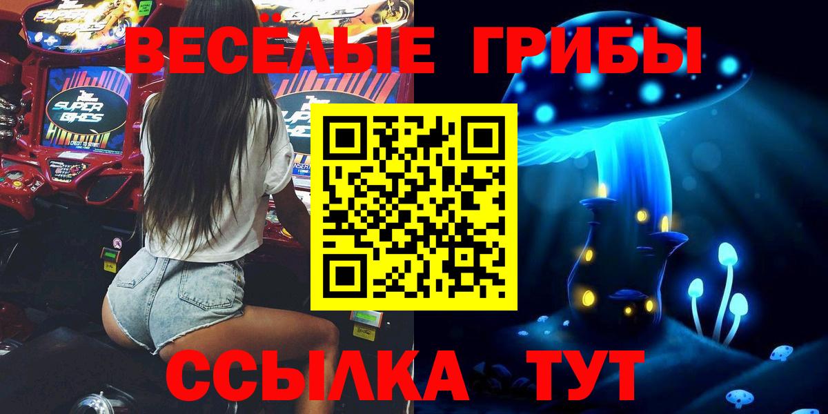 Галлюциногенные грибы Psilocybine cubensis Троицк